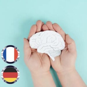 ICF verstehen und anwenden (Deutsch/Französisch)