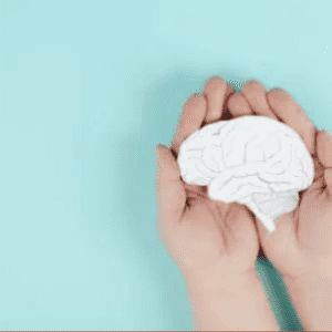 ICF verstehen und anwenden (Deutsch/Französisch)