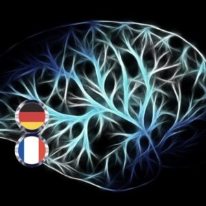 Zentrales und autonomes Nervensystem (Deutsch/Französisch)