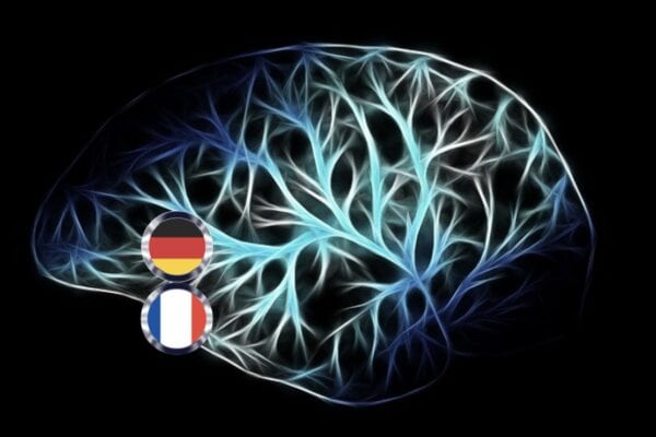 Zentrales und autonomes Nervensystem (Deutsch/Französisch)